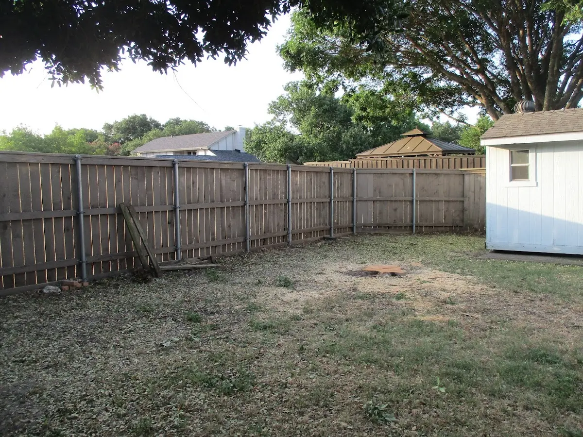 Cleared yard after professional tree removal in Eastchester