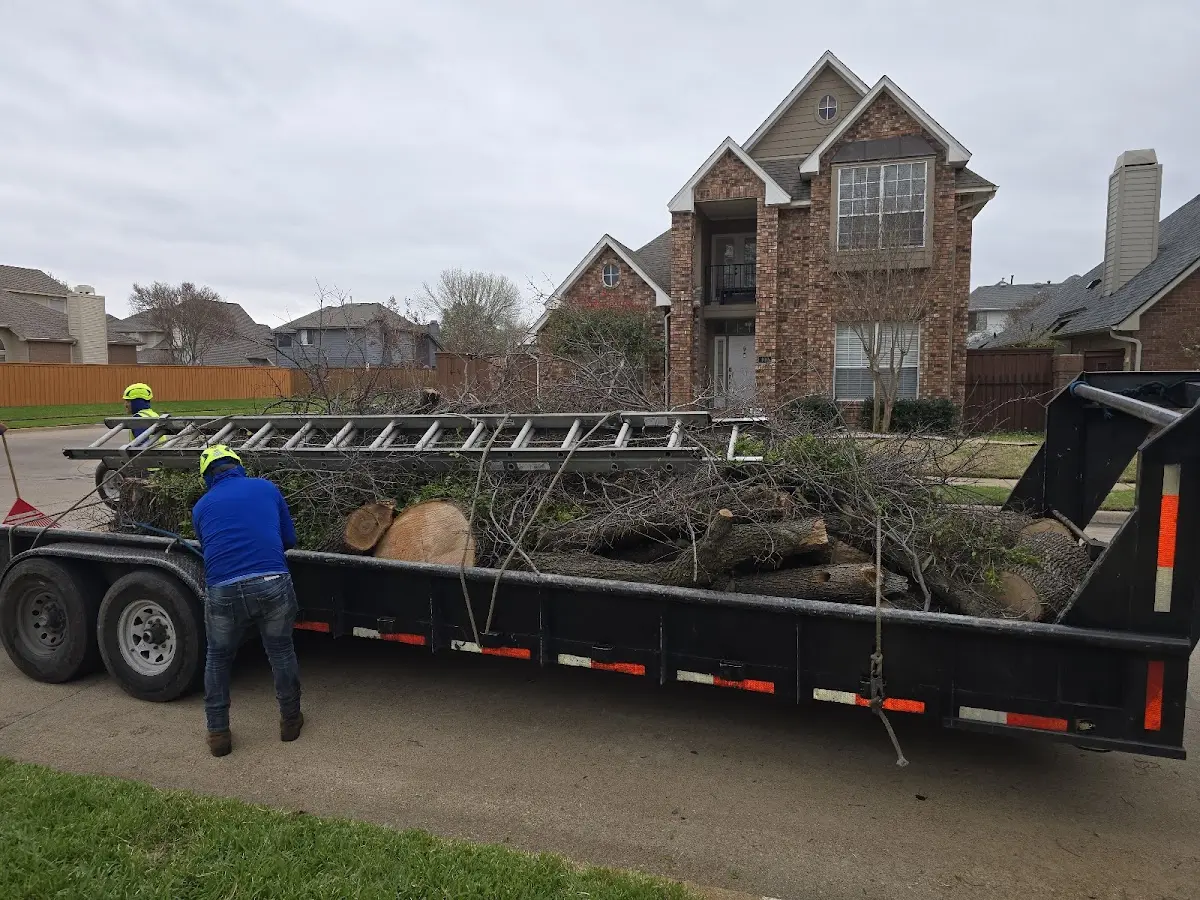 Expert Tree Fertilization with proper safety equipment in Eastchester